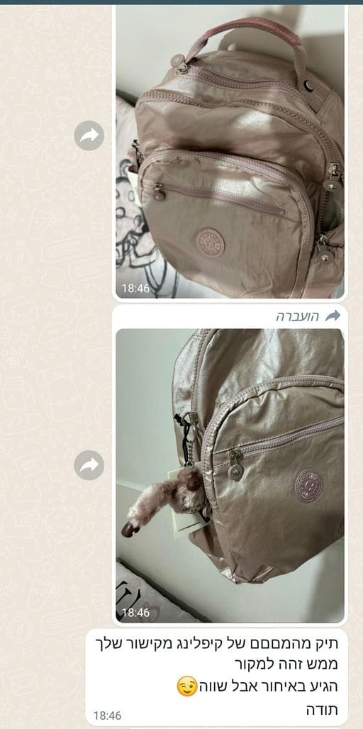 פידבק לקוחות